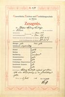 ed26c513-28f4-4306-8d0c-2ec64b2e59c2.jpg; 2015-0240; Zeugnisse/Dokumente; Zeugnisse/Dokumente